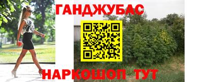 сатива Кинель