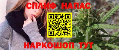 сатива Кинель