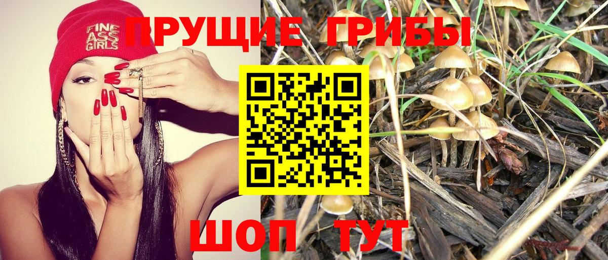 Галлюциногенные грибы Psilocybe  наркотики  Котельники  Псилоцибиновые грибы Psilocybine cubensis  Вход с VPN 